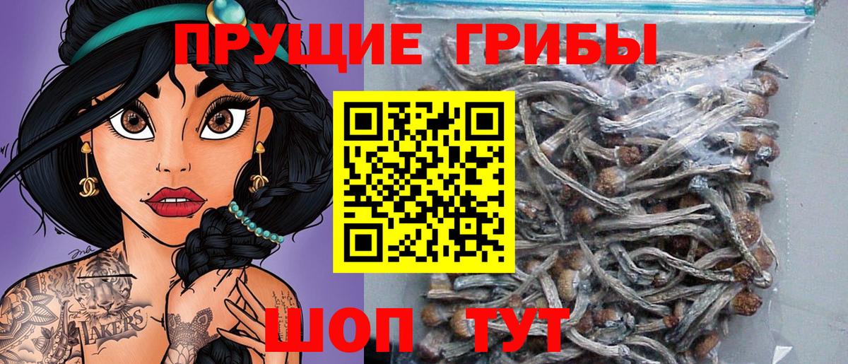 Кемерово  Галлюциногенные грибы прущие грибы  Вход с VPN 