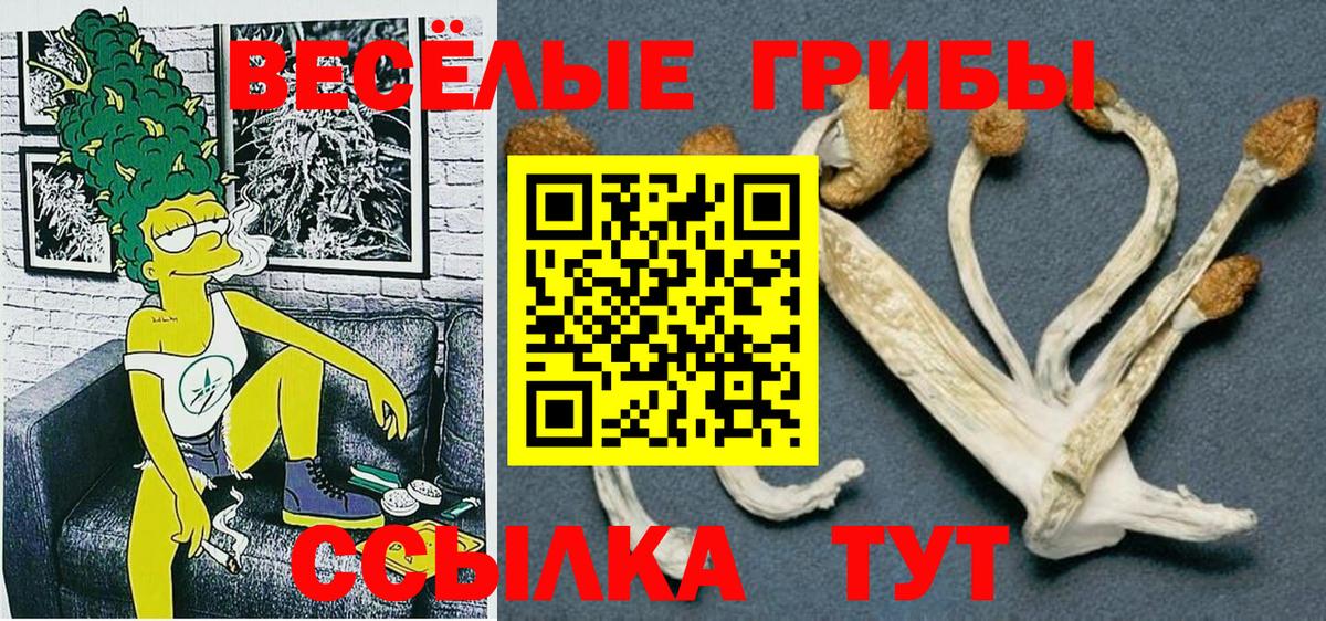 Галлюциногенные грибы Magic Shrooms Кемерово